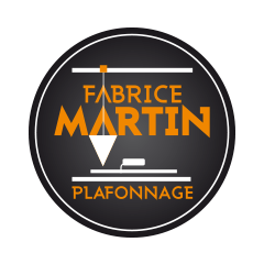 fabrice martin